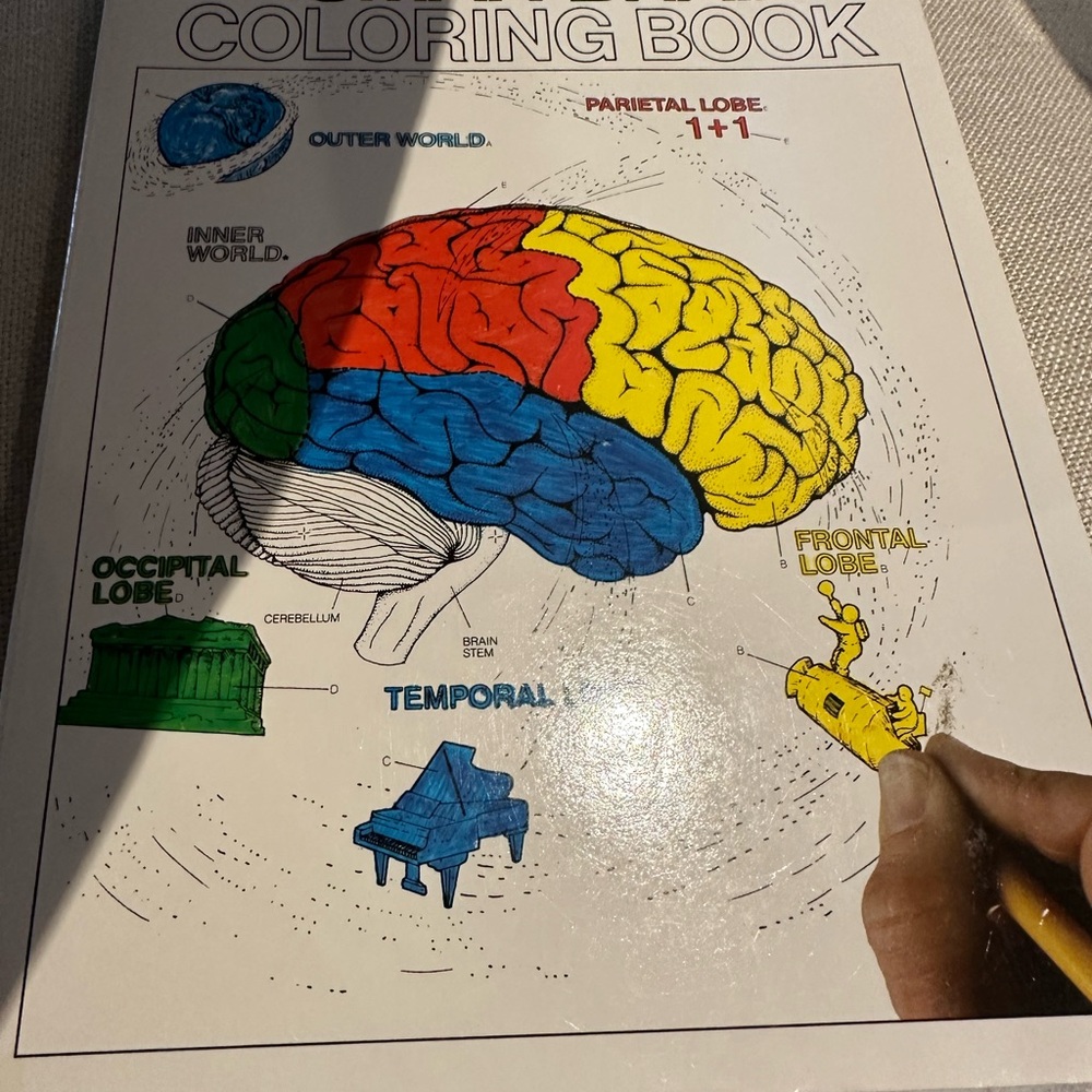 Colorful Brain Anatomy Coloring Book